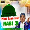 About Meri Jaan Hai Nabi Ji Song